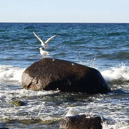Ferienresidenz Kap Arkona - Whn. 15 - Putgarten