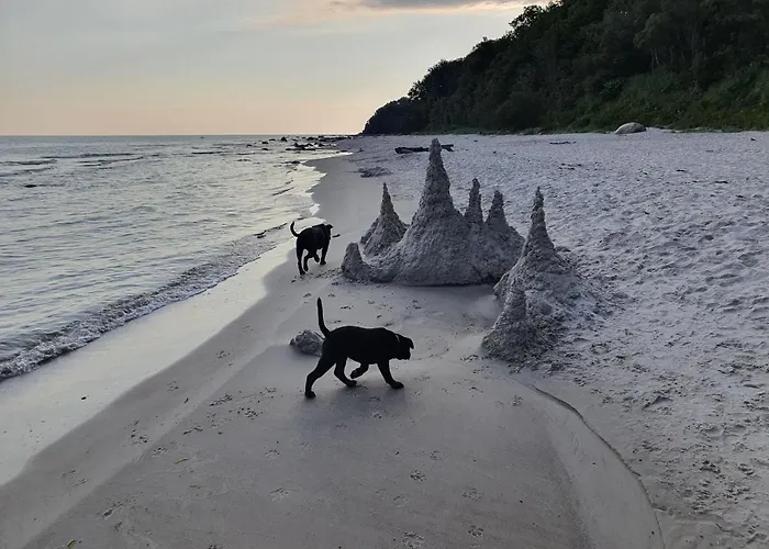 Ferienresidenz Kap Arkona - Whn. 15 - アパート